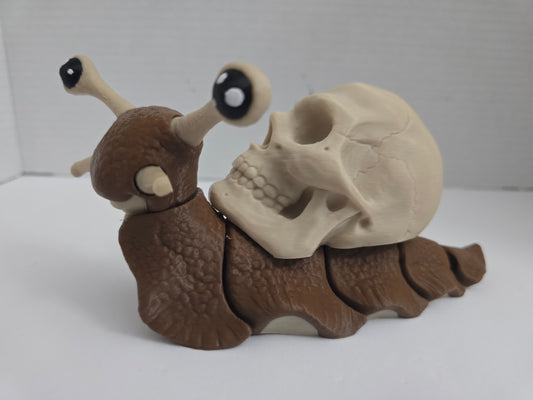 Snail with a skull shell